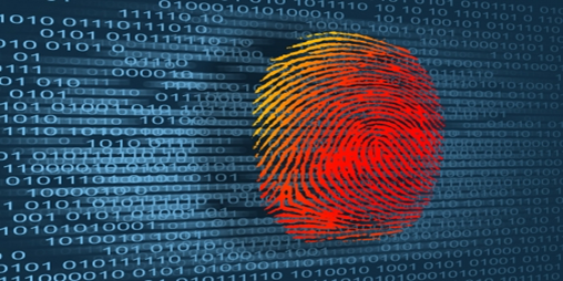 National Automated Fingerprint Identification System (NAFIS)
